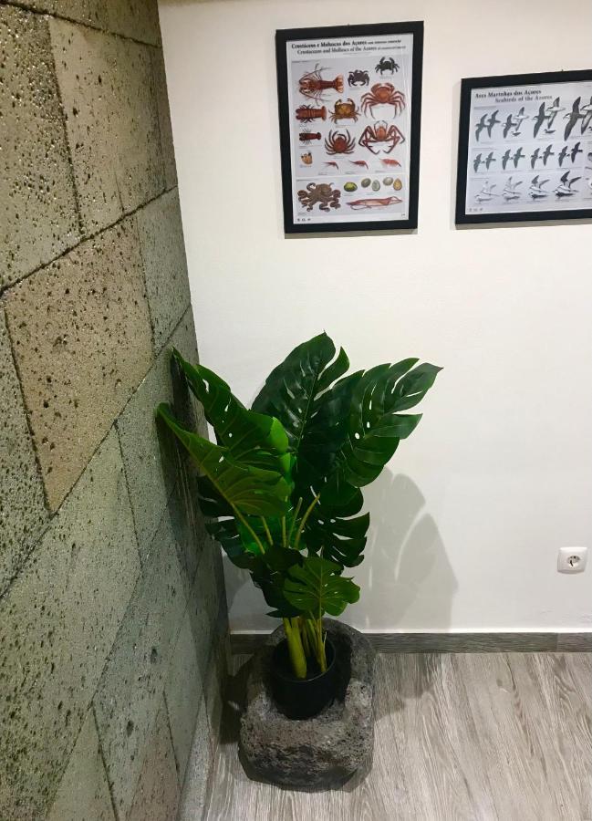 普赖尼亚德拜舒Adega Da Prainha别墅 外观 照片